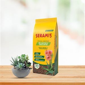 Xương Rồng Và Cây Mọng Nước