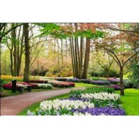 [Xưởng Tranh] Tranh vườn hoa tulip sắc màu rực rỡ, Decal dán tường hiện đại (tích hợp sẵn keo)
