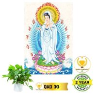 [Xưởng tuyển đại lý]Tranh điện Quan Thế Âm Bồ Tát đứng QAD4