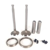 Xupap máy nổ Diesel D15