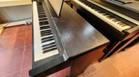 Yamaha CLP133