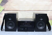 YAMAHA CRX 330