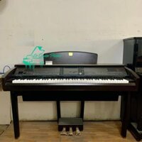 Yamaha CVP-407