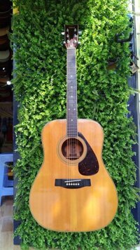 Yamaha FG 301.
