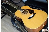 Yamaha FG301