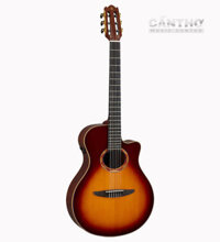Yamaha NTX3 – Đàn guitar đa năng với âm thanh chất lượng và thiết kế tinh tế