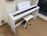 YAMAHA P-105