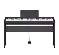 Yamaha P45