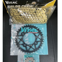 Yamaha Sirius Fi Bộ Nhông Sên Dĩa Thông Số 14T 38T/39T/40T Sên 428SB-108L 9Ly Vàng Chính Hãng VITAL