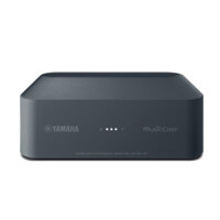 YAMAHA WXAD-10