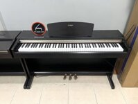 Yamaha YDP 151