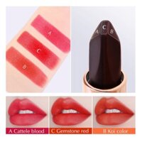 YBN BGF Son AGAG hai đầu 6 màu son thời thượng son môi hot nhất nội địa Trung ZD-SM27 21 YBN