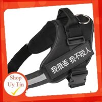 Yếm đai chó K9 khuyên thép không rỉ, khóa nhựa cao cấp, chất liệu an toàn cho thú cưng 7474