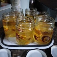 Yến chưng táo đỏ đường phèn