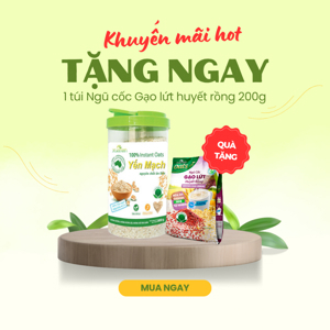 Yến mạch nguyên chất ăn liền Xuân An hộp 800g