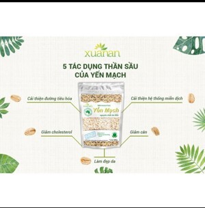 Yến Mạch nguyên chất Oganic Xuân An gói 400g