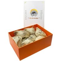 Yến nhà thô tổ lớn (50gr) - Sản xuất và cung cấp sỉ lẻ Yến Sào Thiên Nhiên Việt Nam