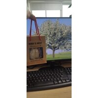 Yến sào Nha Trang