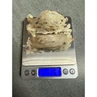 yến thô ít lông .