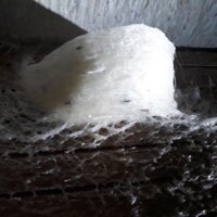 Yến thô nguyên chất