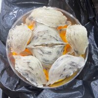 Yến Thô Nguyên Tổ AB Tổ Già Gân Lông Vừa - Ít Lông