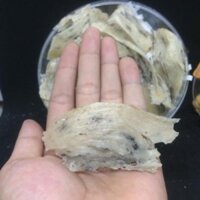 Yến Thô Nha Trang Loại 3 - 100gr + 50gr + Quà Tặng _Yến thô nguyên tổ ( Giá Sỉ )- Yến Sào Khánh Hòa Qnest