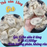 YẾN TỔ THÔ GỐC COBA – Hộp 50 & 100 GR – YẾN SÀO CÔ BA- CÓ QUÀ CHƯNG