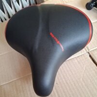 Yên trước xe đạp điện cao cấp chính hãng DKK, y hình chụp