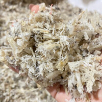 Yến Vụn Thô Giá Rẻ Yến Thô Vụn Giá Sỉ Yến Sào Nha Trang