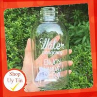 (YÊUTHÍCH) Bình Nước WATER PONG.DANG Detox tặng túi vải dễ thương CAO CẤP