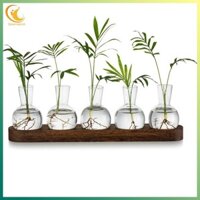 [Ygdgentgklh.vn] Trạm nhân giống Terrarium, Bình thủy tinh trồng bóng đèn có khay gỗ, Bình nụ hiện đại cho máy tính để bàn văn phòng phòng phòng khách