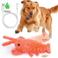 Yiyu Tôm Hùm Mèo Đồ Chơi Mô Phỏng Nhảy Tôm Mèo Con Thực Tế
