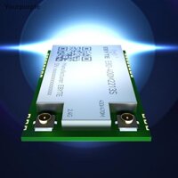 You LR1121 Mô-đun không dây LoRa Dual-Band Sub-G 433 / 868 / 915 / 2.4G SMD TCXO EBYTE E80-400M / 900M2213S IPEX Stamp Hole SPI RF Module VN