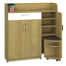Tủ giày Hòa Phát TG304