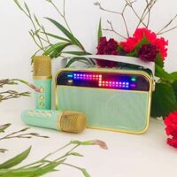 YS-132 Loa không dây ngoài trời di động/Loa Karaoke Điện thoại di động Bluetooth/2 dải micro