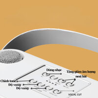 Ys-219 Bluetooth karaoke speaker with 2 wireless mic-vivid sound-Ultra Beautiful design-Ultra BassThương hiệu mới và xác