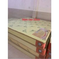 yt- Nệm cao su American đủ kích thước 1m, 1m2, 1m4, 1m6, 1m8,,, Độ cao 10cm, 15cm, 20cm