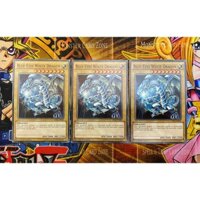 Yugioh - Combo 3 lá bài Rồng Trắng Mắt Xanh - Blue-Eyes White Dragon - SDKS-EN009 - Common 1st Edition