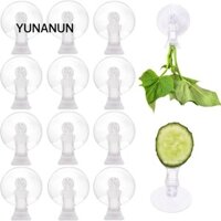 Yunanun 10 Chiếc Kẹp Rong Biển Bể Cá, Cây Nước Thủy Canh Cảnh Quan Giá Đỡ Thức Ăn Cho Cá, Chậu Thủy Tinh Trồng Bể Cảnh Quan Lưu Vực Veggie Kẹp Trang Trí Tính Năng Nước