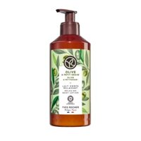 Yves Rocher Sữa Dưỡng Thể Olive 390ML