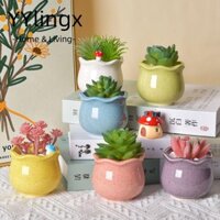 Yylingx 6 Chậu Hoa mọng nước, Gốm Sứ Có Lỗ Chậu Mầm Non, Cây Dễ Thương Trồng Cây Trang Trí Sân Vườn Nhà Chậu Hoa Cây Cảnh Nhiều Màu Sắc