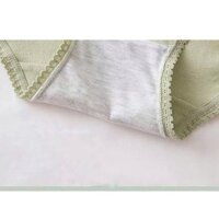 Z2 Bộ 4 Quần Lót Nữ Sexy ( 9 cái ) 24 5
