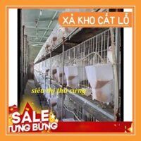 Z9 LỒNG NUÔI CHIM BỒ CÂU-LỒNG MẠ KẼM-CHUỒNG BỒ CÂU-PHỤ KIỆN NUÔI CHIM CẢNH