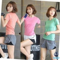 (Zencib Store) Set Bộ Quần Đùi short Áo thun Thể Thao Nữ AAnker (Đồ Tập Gym, Yoga) - Cửa Hàng Việt Nam