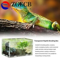 Zgecb Hatching Terrariums Acrylic Hộp Đựng Thức Ăn Trong Suốt Thằn Lằn Ếch Côn Trùng Tiếp Liệu