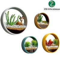Zhaocaimao Chậu hoa Trang trí tường Vòng bền sáng tạo Bình thủy canh đa năng sáng tạo