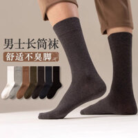 Zhu Và Tất Nam Thu Đông Nguyên Chất Cotton Khử Mùi Giữa Ống Tất Hút Mồ Hôi Thể Thao Tất Nam Kinh Doanh