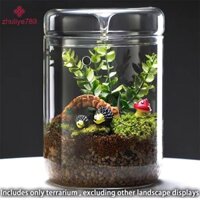 Zhuliye789  Bình thủy tinh Dew Collection Bình thủy tinh Terrarium Trang trí nội thất Đẹp