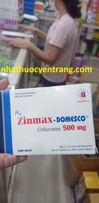 Zinmax 500mg - domesco