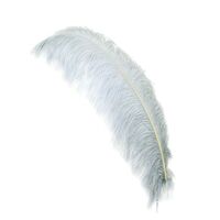 ZUCKER Ostrich Feathers-Prime Femina- 24-30" Tall - 25pcs – for Events, Wedding Centerpieces, Home Decoration, Crafts - Silver
